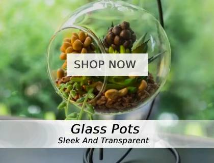 glass-pot